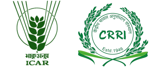 ICAR-CRRI