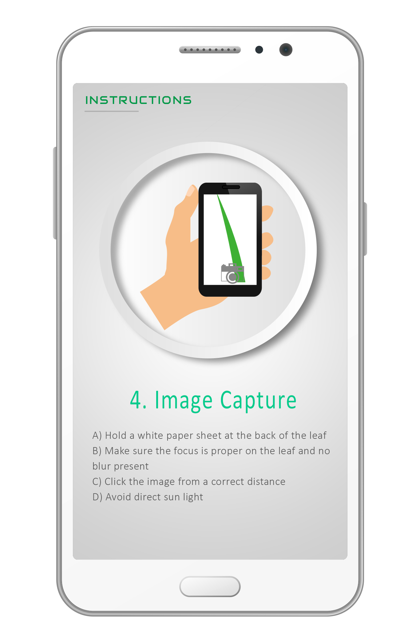 Owl Image